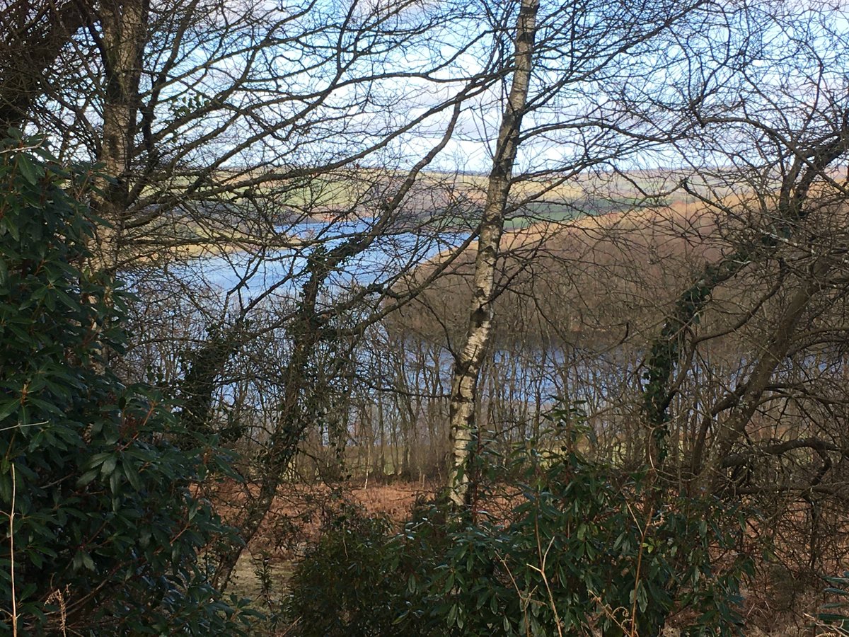 ValeriaCoots's tweet photo. Beautiful Sunday afternoon - and not a single #ExmoorPony to be seen!  #HaddonHill #WimbleballLake #Exmoor #Somerset #Nature #moorland #sundayvibes https://t.co/pV0UlfeHCA