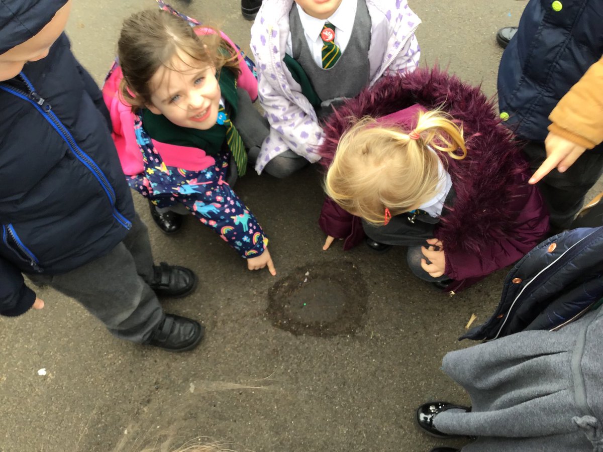 North Town Pippins tweet media