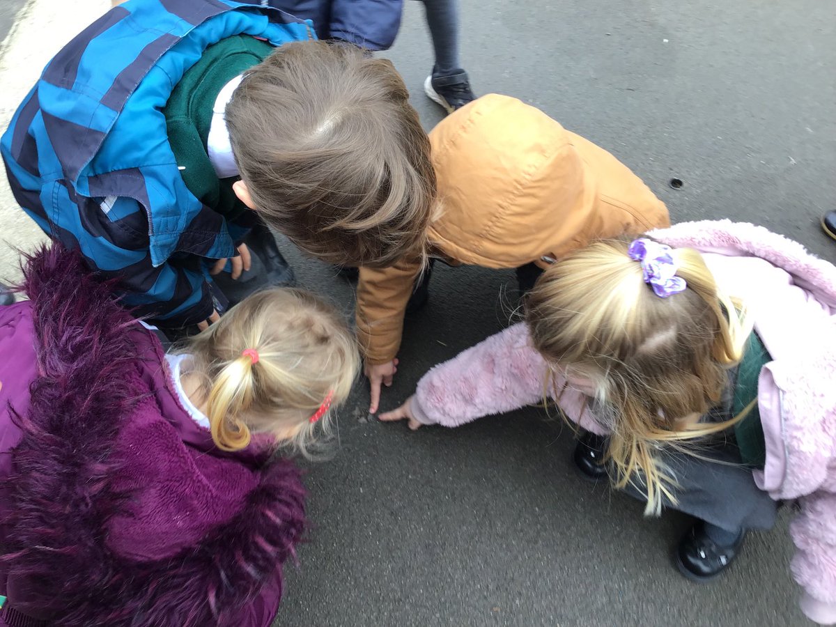 North Town Pippins tweet media