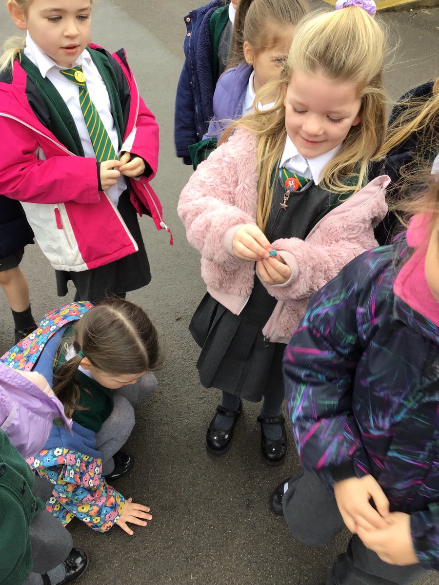 North Town Pippins tweet media