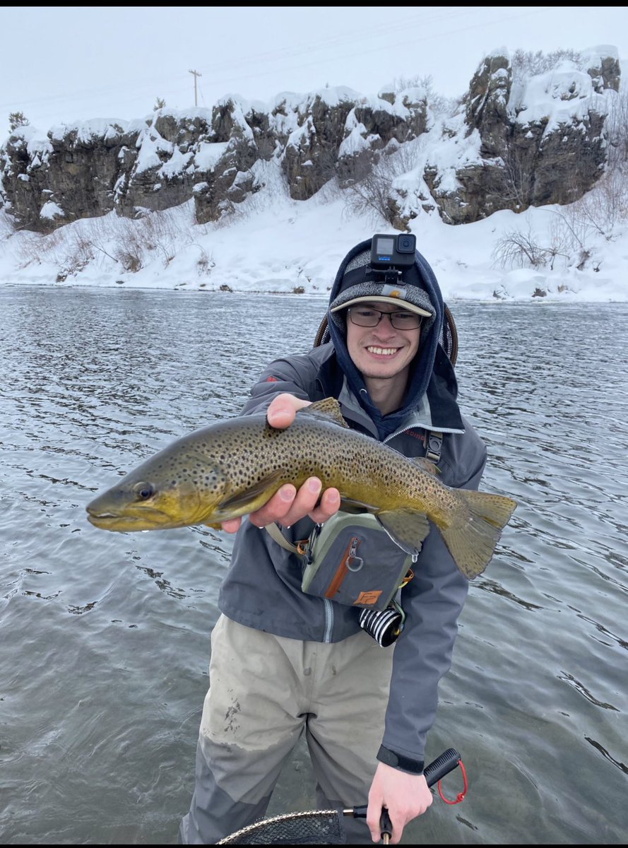 Jeff Rivard tweet media