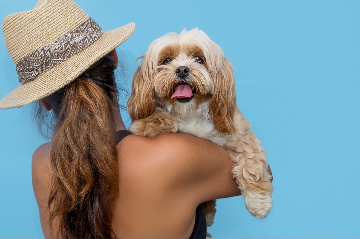RPScustomevents's tweet photo. We have lots of downtown New Canaan Events coming up!  From Pet Pantry Warehouse "Paws in Stores" and Dog Days, to Sunset Wine Party, @NCFood_Rev  and @NCBuysLocal Taste of New Canaan Stroll https://t.co/lOoEyUzrcJ @livenewcanaan #newcanaan https://t.co/36a2OI1XhK