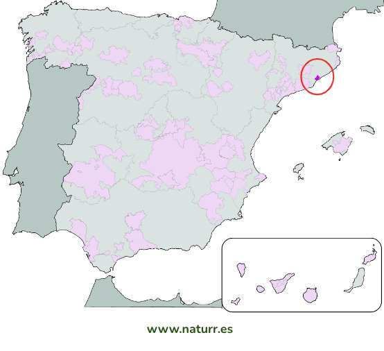 naturr_market's tweet photo. ¡Buenos días!

¿Sabéis cuál es la D.O. de vino más pequeña de España?

!DO Alella!, de Barcelona. 

Únicamente tiene 600ha de cultivo, pero hacen unos vinos buenísimos. https://t.co/ihvhxcOCC0
