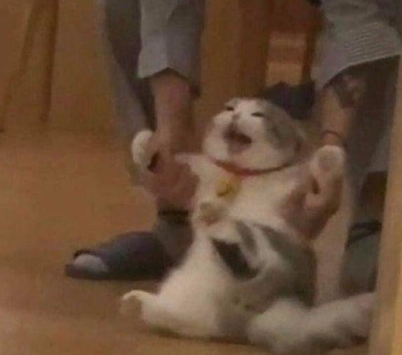 M On Twitter RT L0NELYINCHICAGO Security Dragging Me Out Of AllOfTheVoices Once It s Finished 