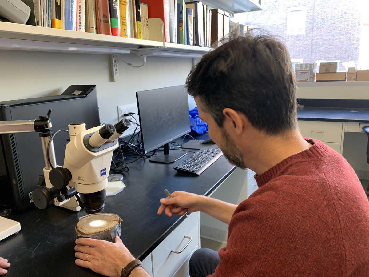 yukonberingia's tweet photo. Last week, we had the privilege of filming with Dr. Britta Jensen, Dr. Alberto Reyes, and Dr. Duane Froese. These videos, along with the recent segments filmed with Dr. Grant Zazula and Elizabeth Hall, will be incorporated into our upcoming exhibits #BeringiaBTS #MuseumMonday https://t.co/DjEO5ZByLZ