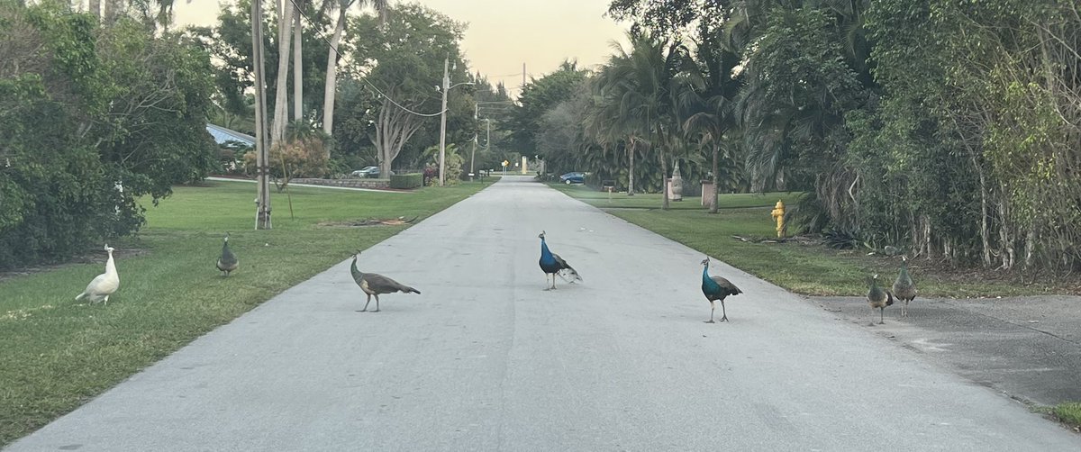 Restoration Games tweet media