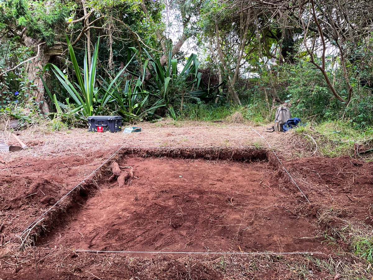 Philippe Charlier tweet media