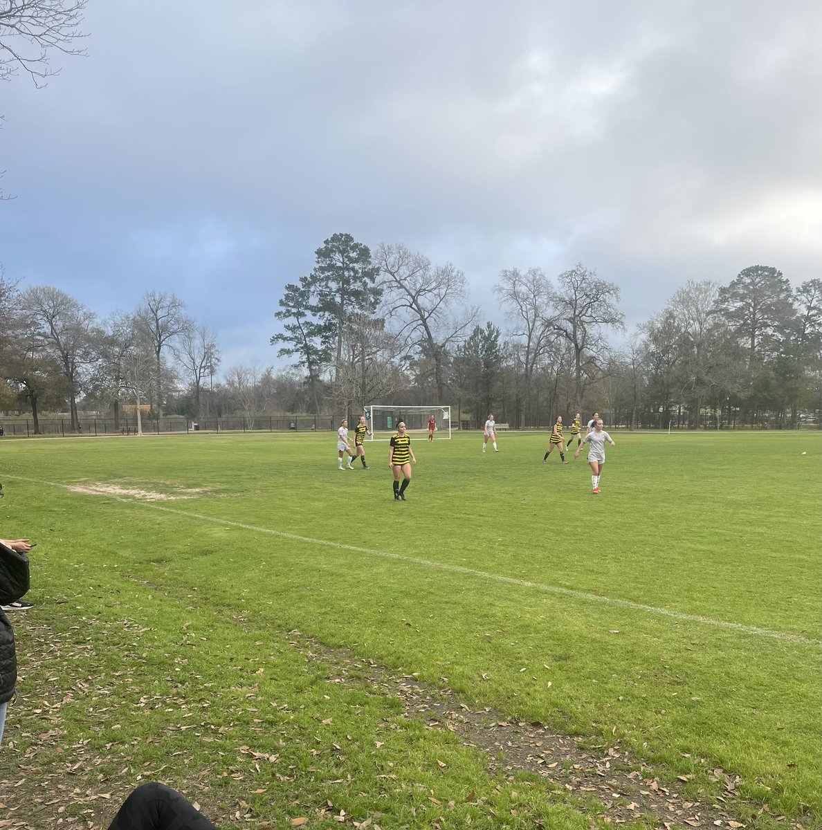 alyssa devitis tweet media