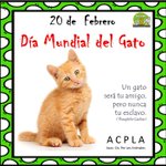Photo by ACPLA - Asociacion Civil Por Los Animales (@_ACPLA)