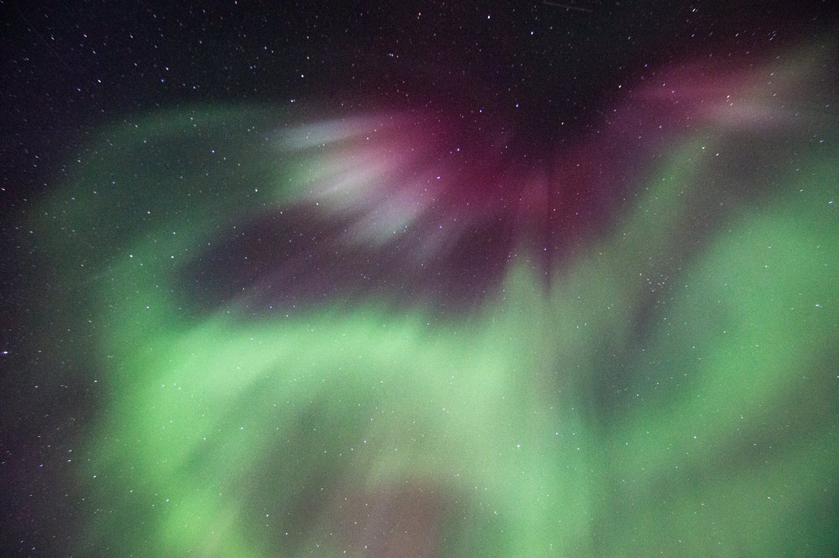 SC_CR_AERIALS's tweet photo. Something I've never seen before the Aurora exploding out of the night sky
#Northernlights #astrophotography #Alaska #AlaskaDaily #NaturePhotography #natgeo #USA #Nikon #nikonphotography @TokinaUsa @Nikon #nightshooter #BUCKETLIST #Trending https://t.co/oQqIR9NNBG