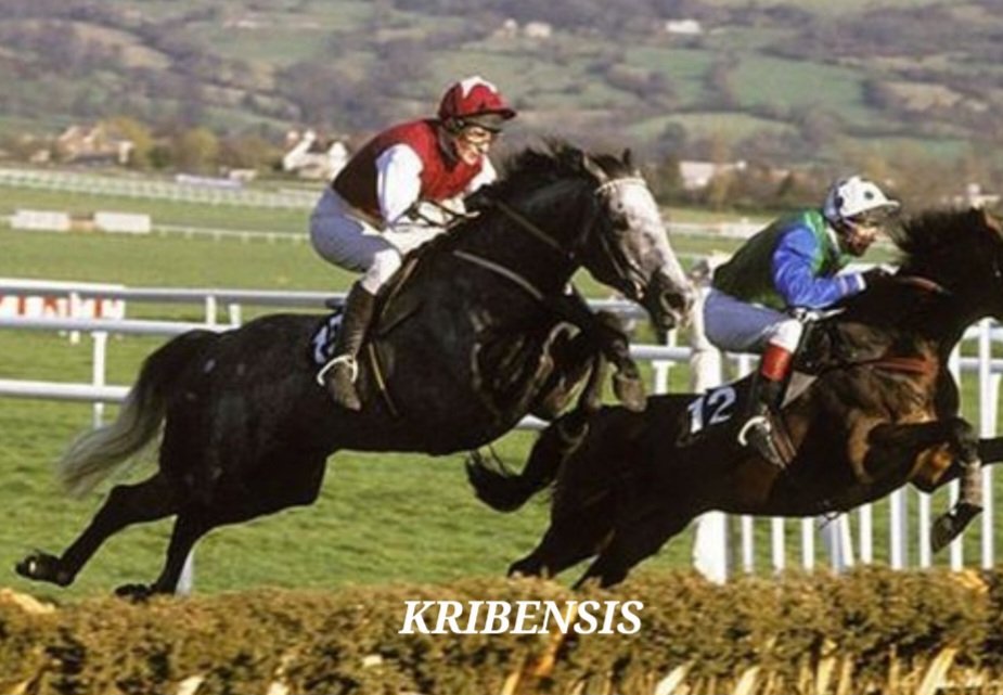 MarkDunphy10's tweet photo. @RacingTs1 https://t.co/e2iZaeeqdx