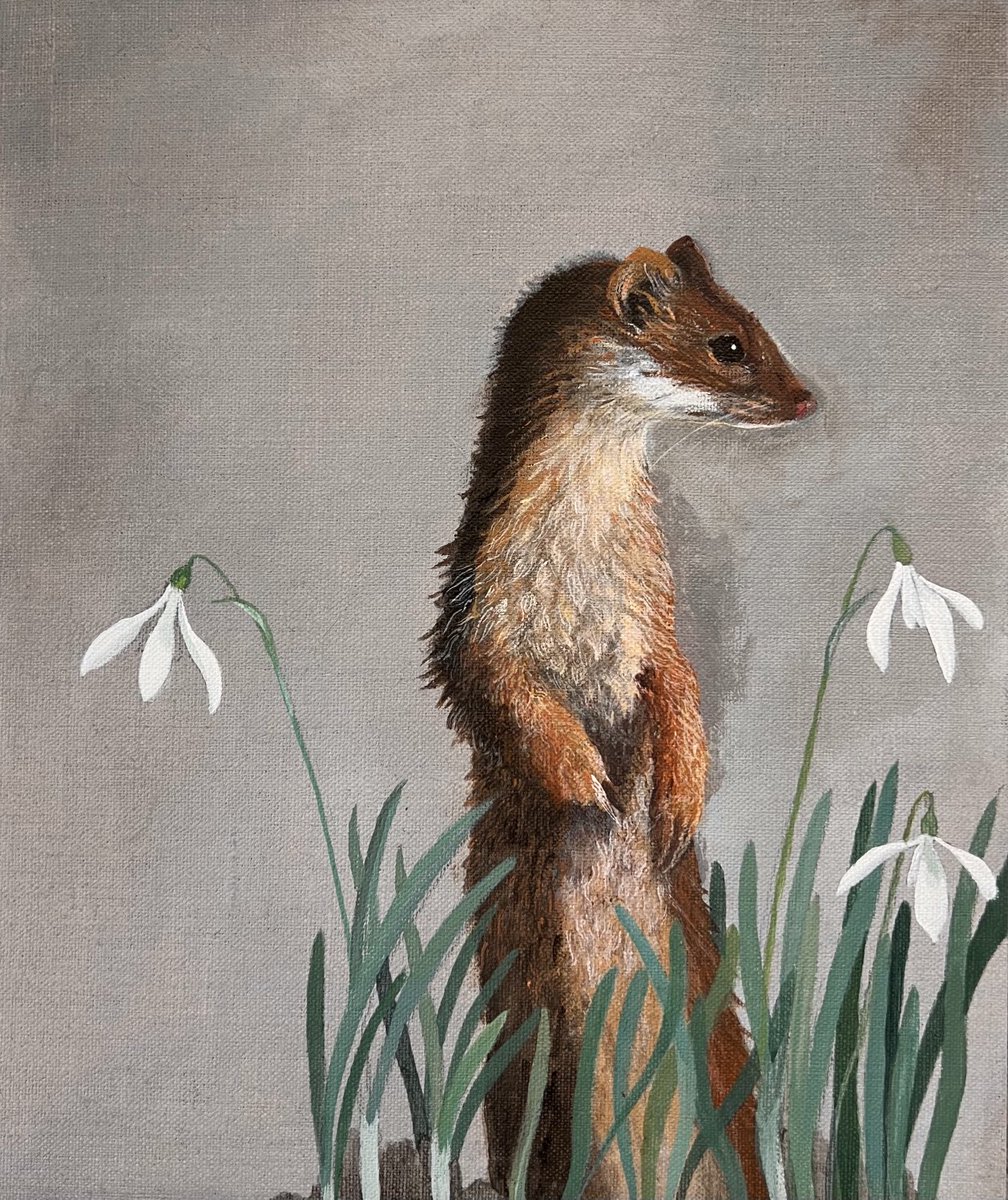 Liza Adamczewski or the accidental ecologist tweet media