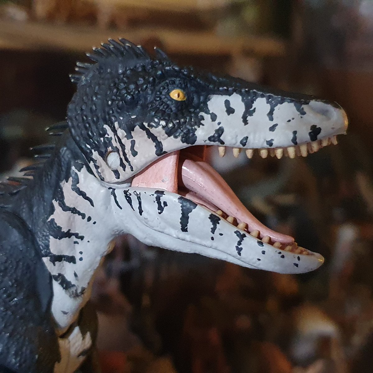 AncientRealms99's tweet photo. Very quick little repaint here, one of my Primeval raptor squad transitioned and is now a female. All that with only a bit of paint.
Imagine if humans could do the same thing ๐
#primeval #bringbackprimeval #raptor #velociraptor #dinosaur #walkingwithdinosaurs https://t.co/IU3gCPsXOa