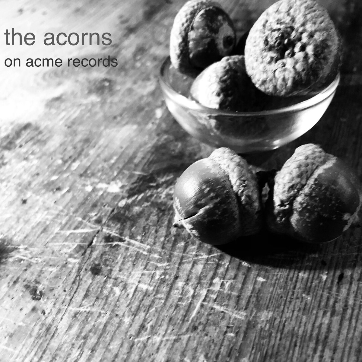 AcornsThe's tweet photo. I want to fly…across your sky …’Spy Balloon’ new from @AcornsThe on #acmerecords > https://t.co/IBLMePkCTj https://t.co/zVTBre5I4c