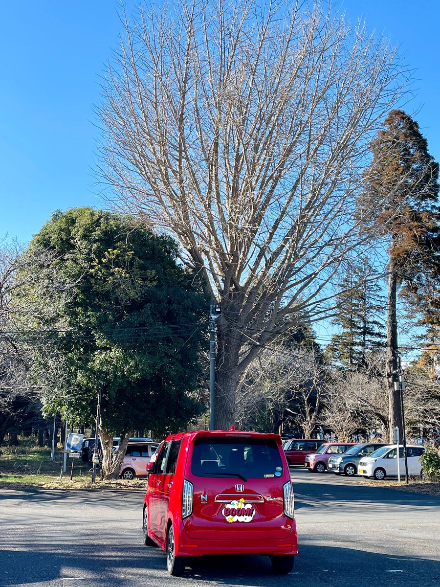 sensuiryu's tweet photo. 何かと忙しい毎日だから、
悲しむ時間が無いのかな?
まだやる事があるのだから、
遅くても確実に前に進もう。
エンジンが止まるまでは…。
#nwgn #nwgncustom https://t.co/PVRXe8K1mH