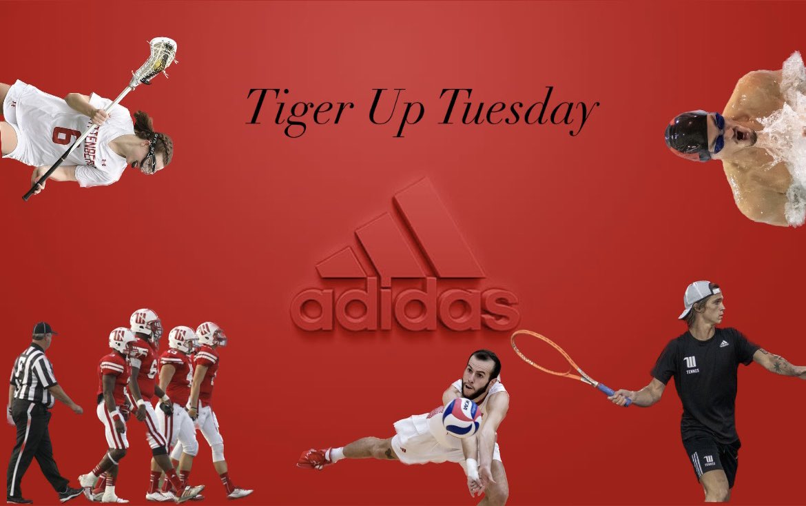 WittCompass's tweet photo. Everyone make sure to wear your Wittenberg gear tomorrow ✅ #TigerUpTuesday https://t.co/b20YxBCW4D