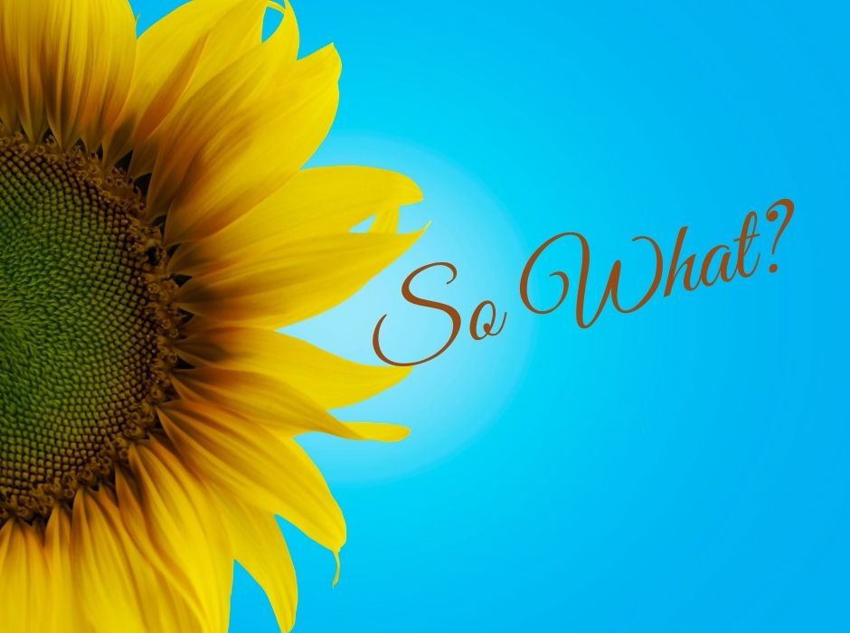 13 Songs!!  13 Original Songs!   All part of my "So What?" project!   Check out how you can be a part of it here!   
yvettemedinamusic.com/so-what-campai…