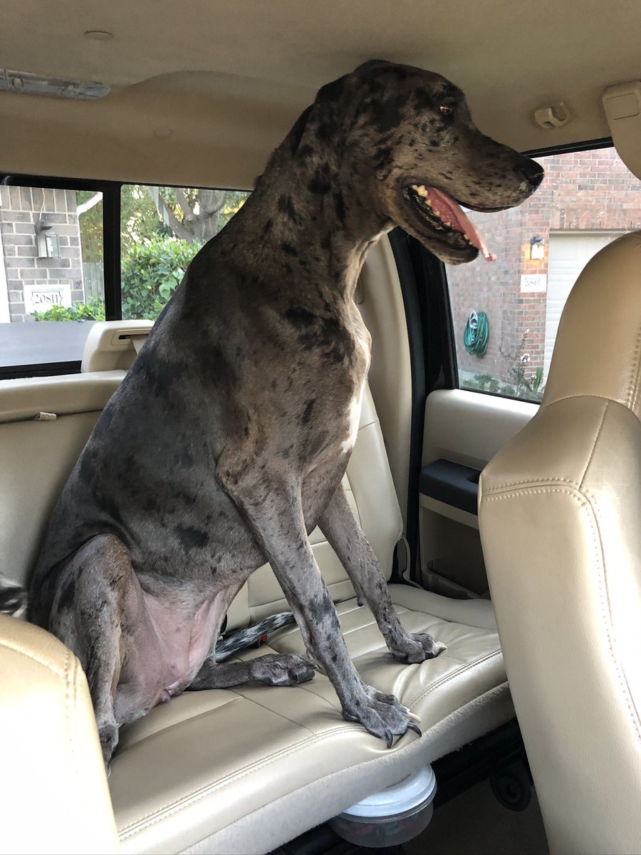 Christine Walker tweet media