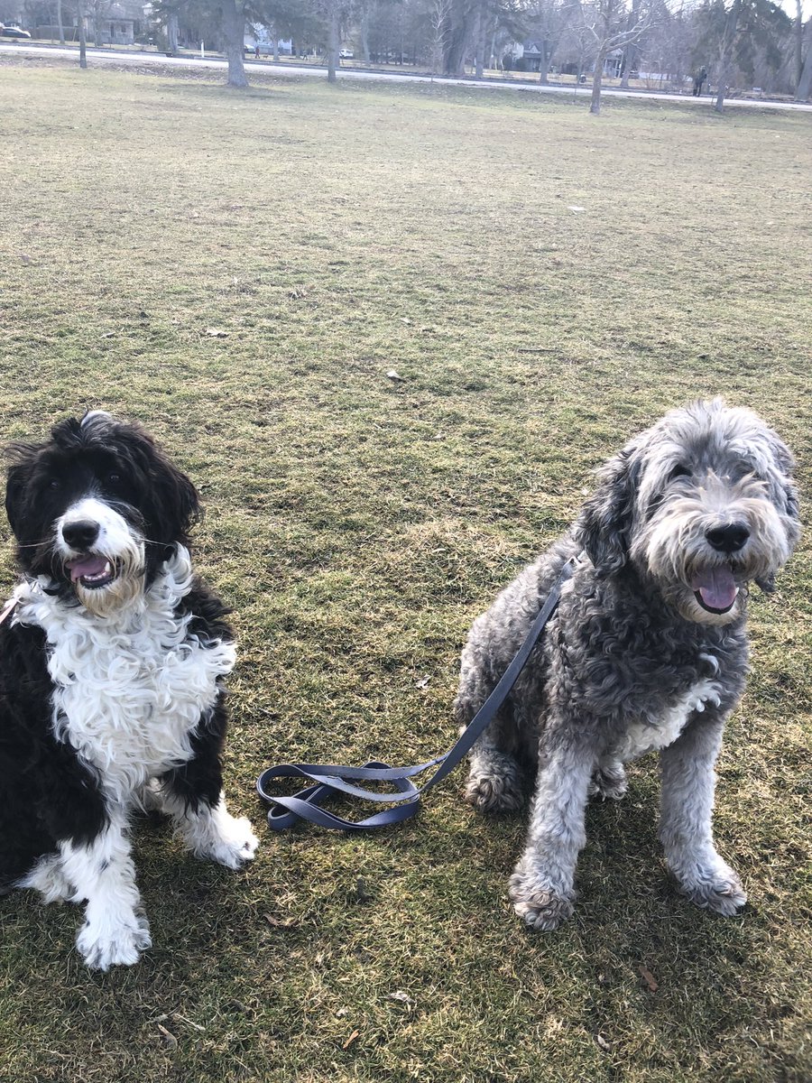 I had a sleepover with my friend last night. Don’t tell him this, but I am kinda glad he’s gone home. He took up all of MY couch. We still had a good time though.