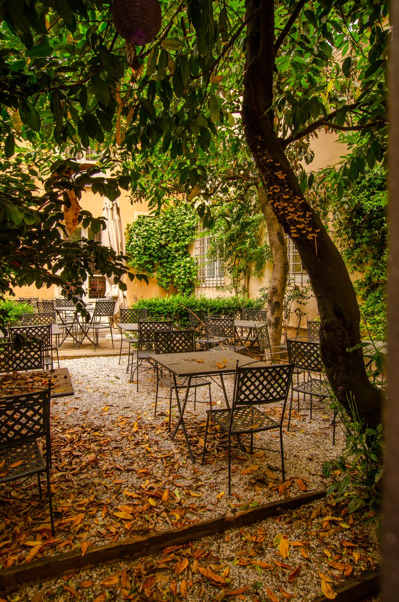 DedicationPhoto's tweet photo. I sometime photograph "warmer" places too. Not always cold and Nordic places. Lucca and Florence in Italy for example. Very nice cities. #italy #tuscany #italian #italiancities #tuscanyphotography #summer #tourism https://t.co/NCeeiaBzma