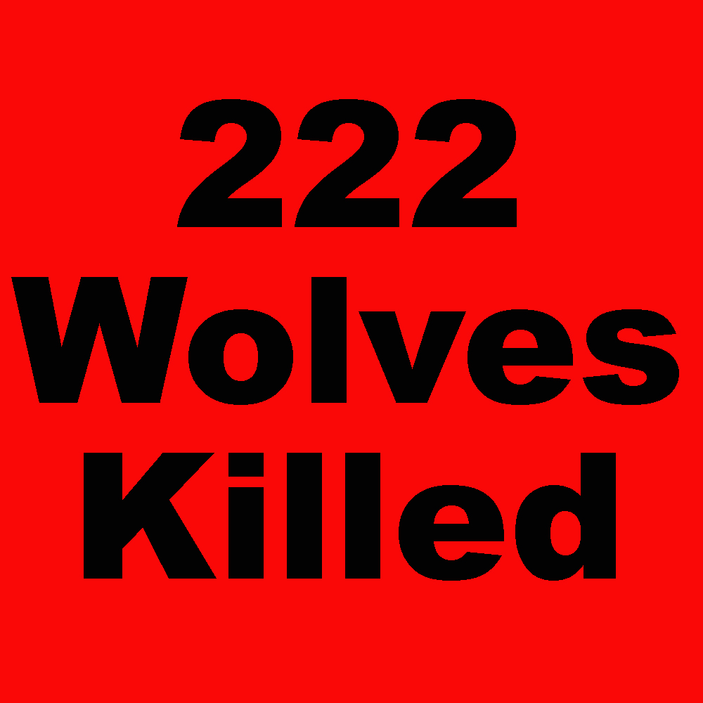 7 more Montana wolves killed as of yesterday. As of February 20, 2023 Montana has killed 222 wolves. This doesn't include poaching and other human-caused mortality. Join the fight to protect our wolves an wildlife.info@wolvesoftherockies.org
#mtfwp, #Takebackourwildlife