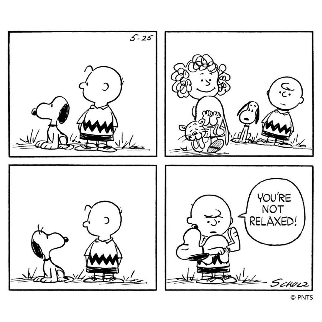 Charlie Brown Fan Account tweet media
