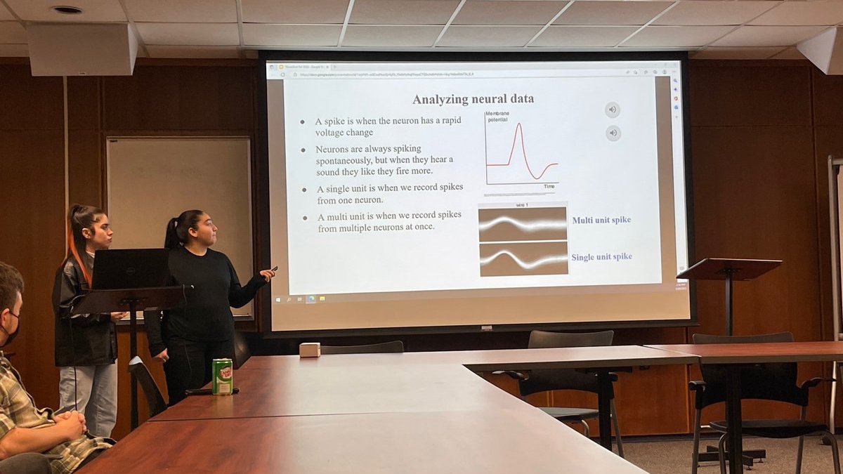 Mother Cabrini Health Foundation tweet media