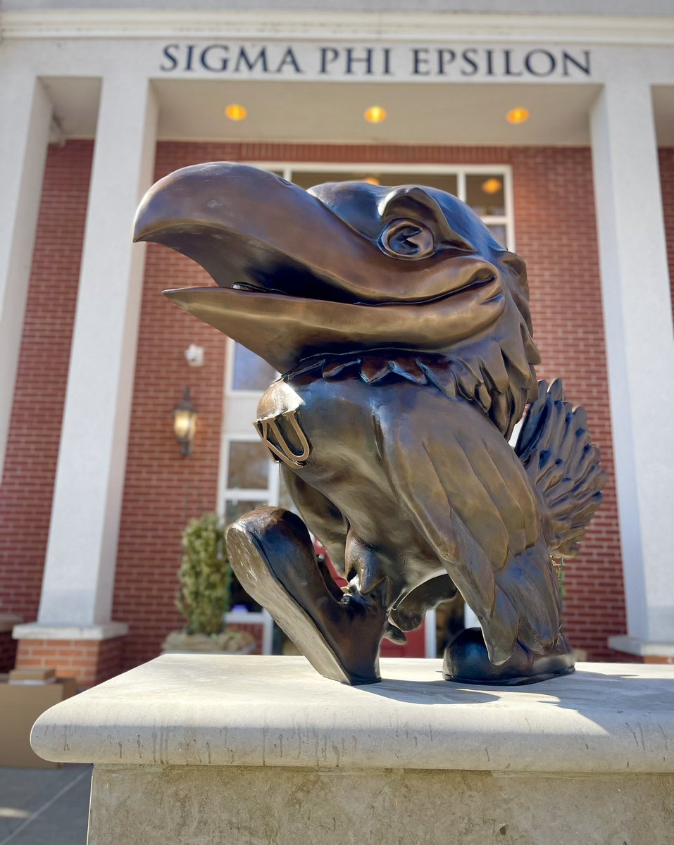 kusigep's tweet photo. Look what landed in front of SigEp today! https://t.co/sQlbcL1pkB