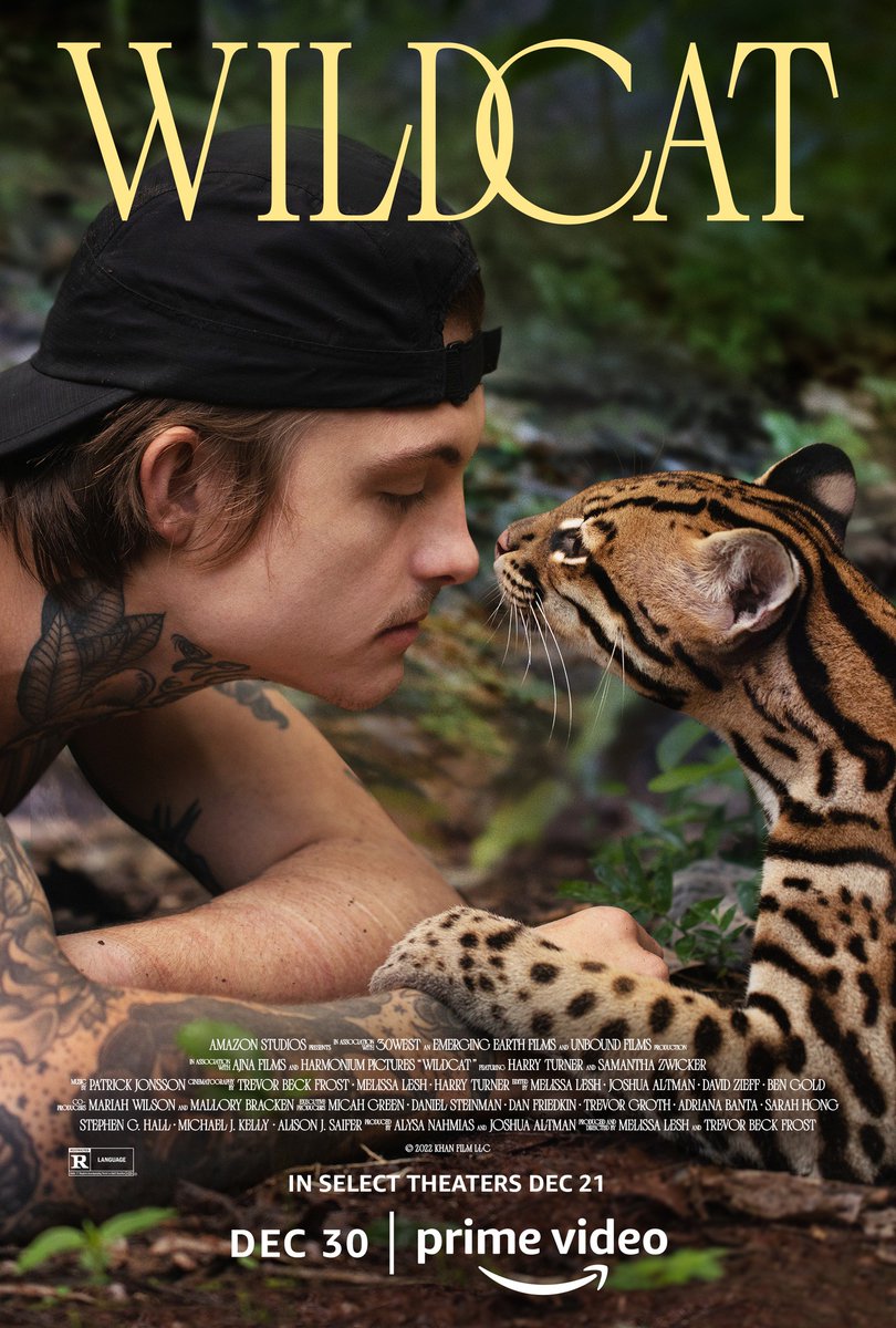 Brent_Marchant's tweet photo. "Wildcat," "To Leslie," "The Swimmers," a podcast preview, Oscar predictions, and the best and worst of 2022, all in Movies with Meaning, https://t.co/M6oS0LTTsm. #BrentMarchant #TheGoodMediaNetwork #OscarPredictions #TheBestof2022 #TheWorstof2022 #Wildcat #ToLeslie #TheSwimmers https://t.co/NIhUPLoDnR