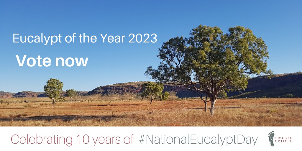 Help us find Australia's favourite #gumtree!

#EucalyptoftheYear voting is OPEN: surveymonkey.com/r/C8YT83X

Vote for your favourite species, then rally your mates to help it win by creating a team hashtag!

Votes close 19/03/23
Winner will be announced #NationalEucalyptDay 23/03