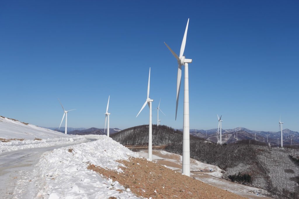 새와 생명의 터 블로그에  2023년을 채울 우리의 희망과 활동 방향을 올려 두었습니다.  여러분의 응원은 긴 여정의 동력입니다.
'2023년 다시 대한민국의 조류보전을 향해 도전하다'
birdskoreablog.org/?p=26800
