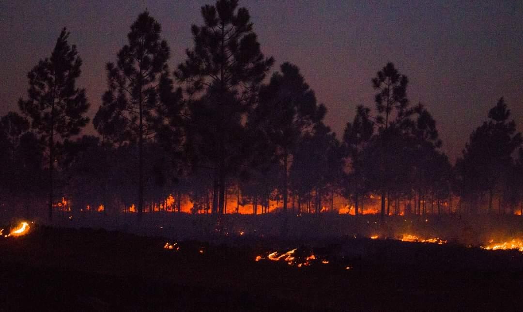 DiazCanelB's tweet photo. Los pobladores del lugar se han puesto a salvo del humo y de las llamas. Compañeros de varios sectores, entre ellos las Fuerzas Armadas Revolucionarias, están dando una fuerte batalla contra este siniestro. Estamos siguiendo constantemente la situación. https://t.co/sdmcfqnWBs