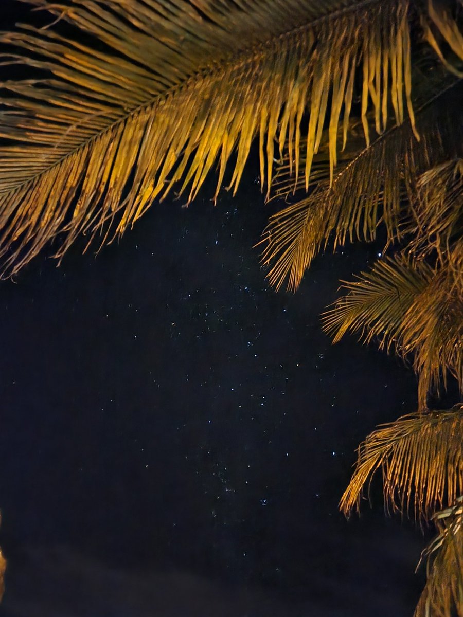 Meu s22 eh tudoooooo