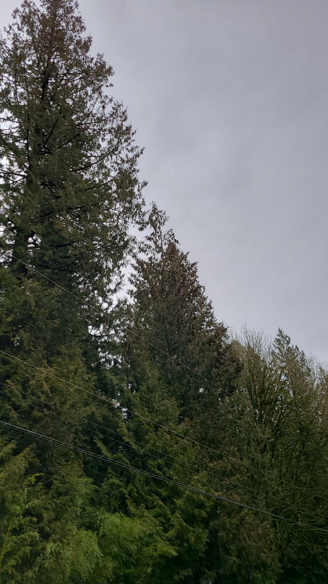 Loukmane ISSA tweet media