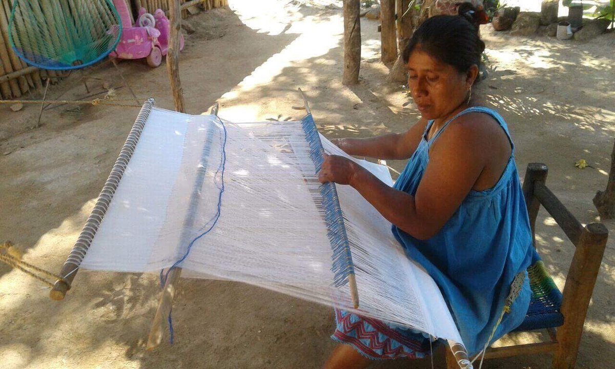 tilmatli_p's tweet photo. She uses industrial mercerized cotton thread. This tilmatli measures 107 cm by 75cm. Margarita attempted to make this tilmatli in one piece. All the edges were selvage.
Photo Credit- Yezy.
#backstraploom https://t.co/aT29fBFJg7