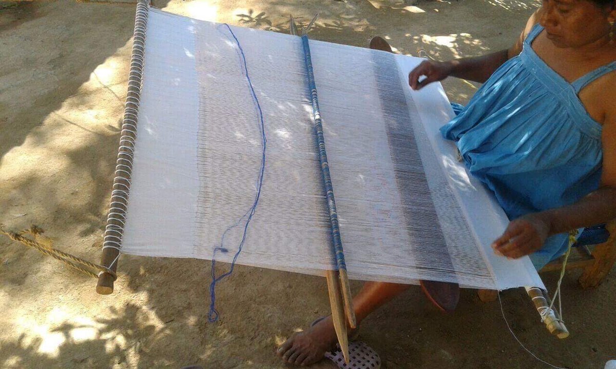 tilmatli_p's tweet photo. She uses industrial mercerized cotton thread. This tilmatli measures 107 cm by 75cm. Margarita attempted to make this tilmatli in one piece. All the edges were selvage.
Photo Credit- Yezy.
#backstraploom https://t.co/aT29fBFJg7