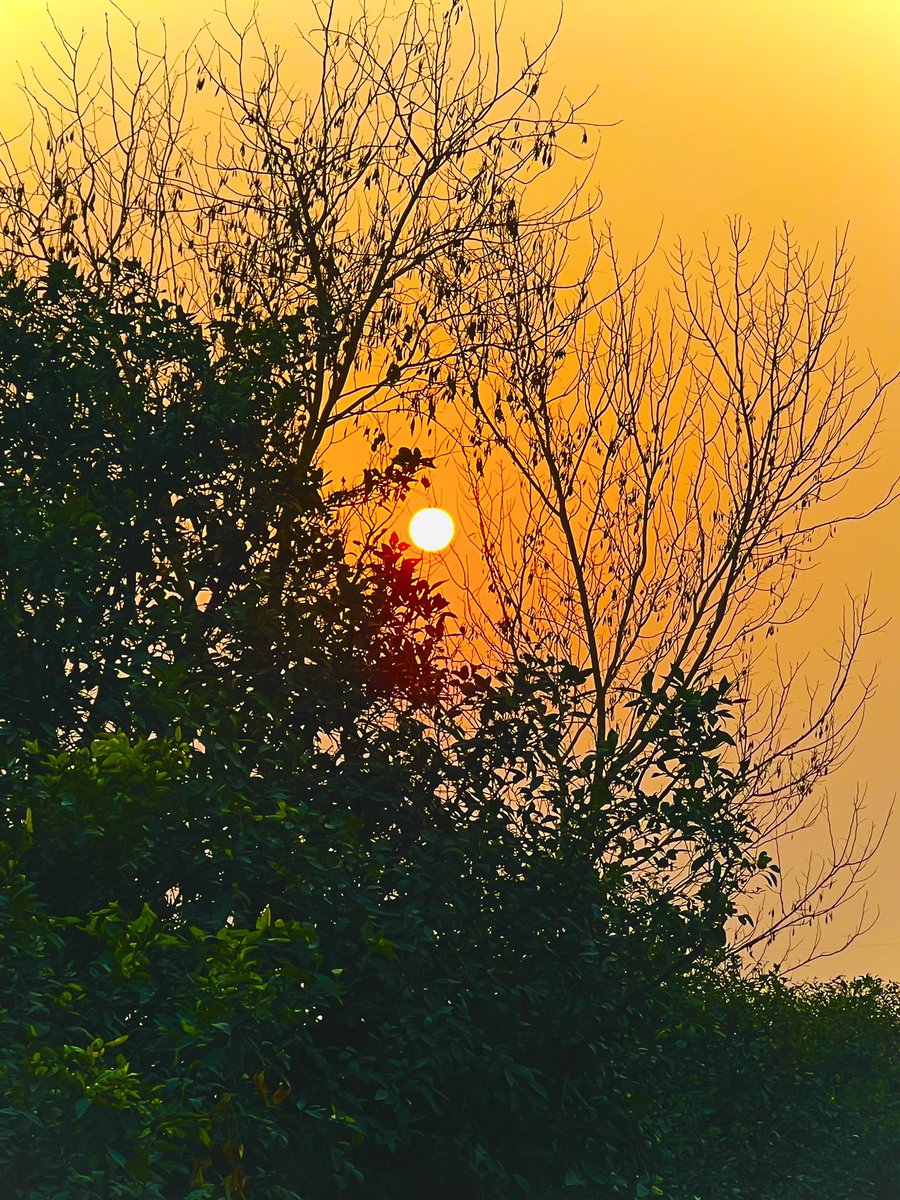 JalalQazi's tweet photo. Monday Dump with @drsajjadkahn:
Just tried the delicious food at Pyali, explored Orchard Road, and caught a stunning sunset today! Sharing my day in four photos 📷🌅 #MyDayIn4Pics #Peshawar #OrchardRoad #SunsetViews #MondayDump https://t.co/neMmy8ZDYq