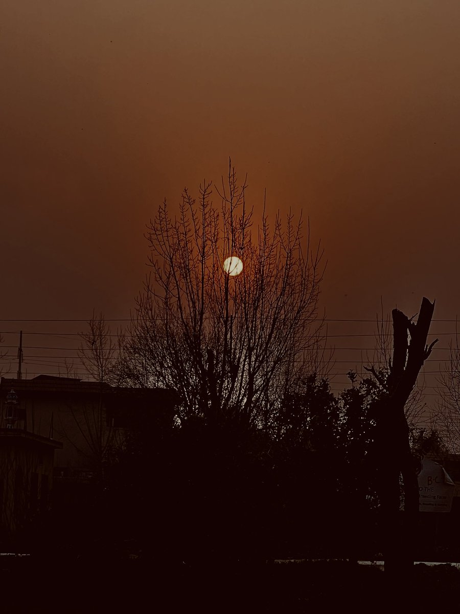 JalalQazi's tweet photo. Monday Dump with @drsajjadkahn:
Just tried the delicious food at Pyali, explored Orchard Road, and caught a stunning sunset today! Sharing my day in four photos 📷🌅 #MyDayIn4Pics #Peshawar #OrchardRoad #SunsetViews #MondayDump https://t.co/neMmy8ZDYq