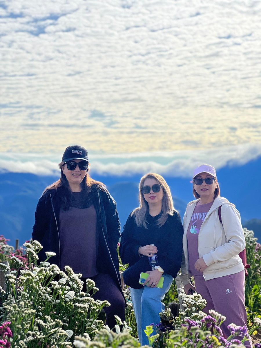 mitosmagsaysay's tweet photo. Northern Blossoms Farm , Atok , Benguet https://t.co/gFdPEfMa6x