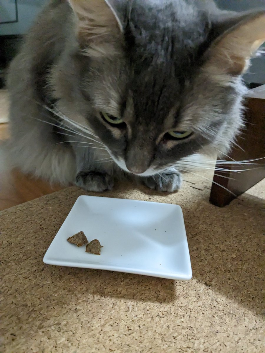 ワンニャンおやつ
手作りクッキー
ワンは食べるの早すぎて撮れない😶