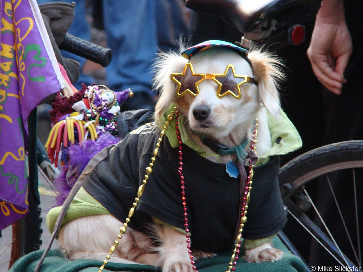 Mike B 🇺🇦 tweet media