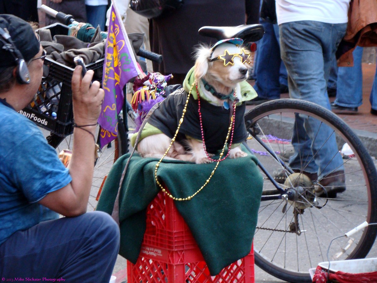 Mike B 🇺🇦 tweet media