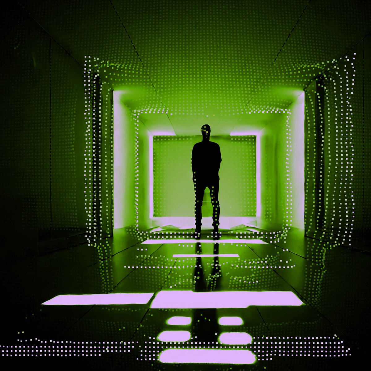 SHARK 🦈 tweet media