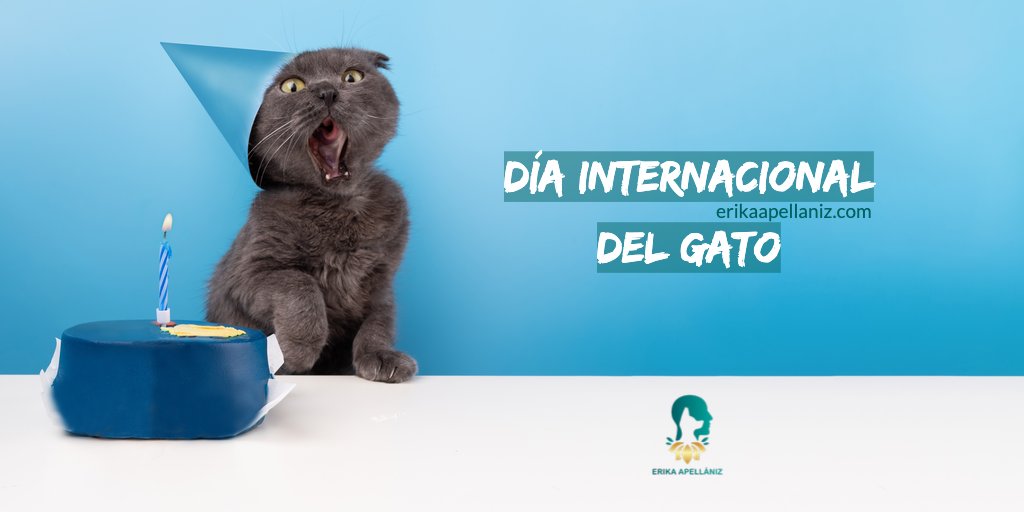 MyAnimalBond's tweet photo. ¡Feliz Día Internacional del Gato! 🐾❤️ Hoy celebramos a nuestros amigos peludos de cuatro patas y les damos todo el amor que se merecen. Acaricia a tu gato, dale premios y demuéstrale cuánto lo amas hoy y siempre. ¡Miau! 🐱 #DiaInternacionalDelGato #AmoAMiGato #DiaDelGato https://t.co/aLTWqOJfj6