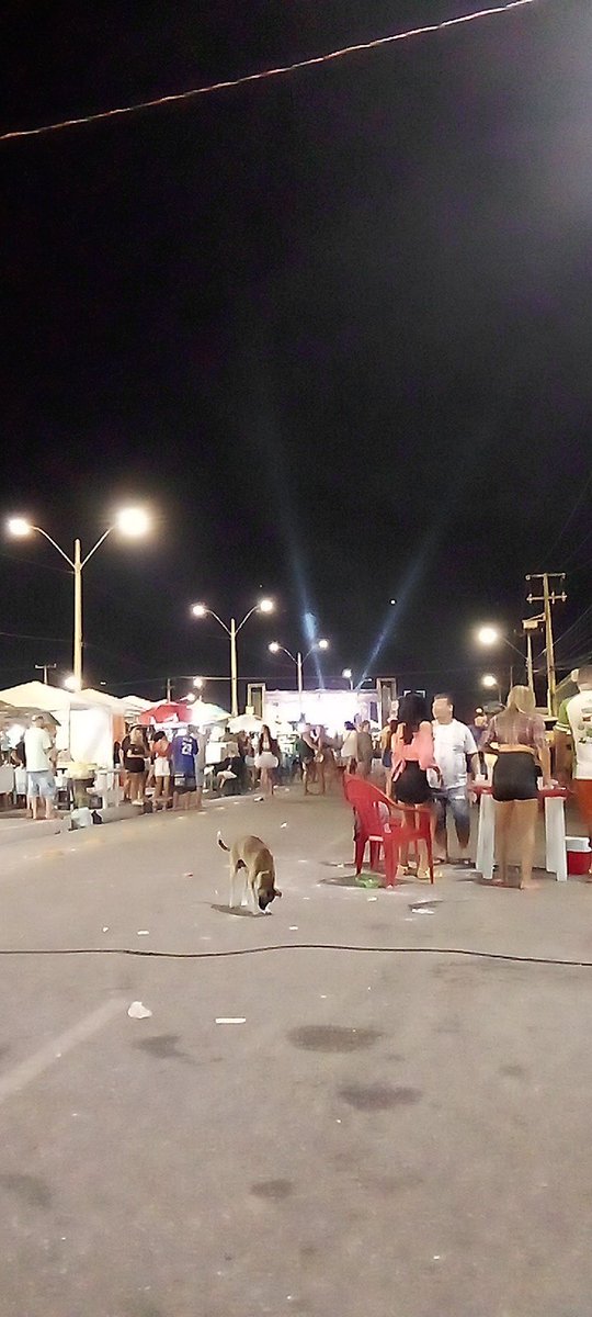 LyaCarvalho98's tweet photo. Foisse o tempo que Parnaíba teve carnaval que presente https://t.co/EtZdUJLrAl