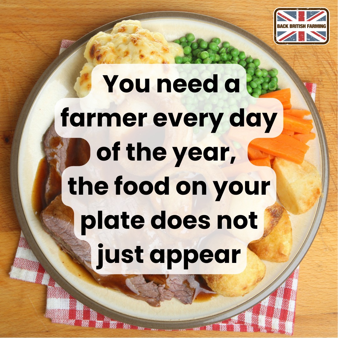 NFUtweets's tweet photo. British farmers are proud to feed the nation with nutritious and tasty food 🍽️🚜🇬🇧

#BackBritishFarming #NFU23 https://t.co/EJfQ41siI4