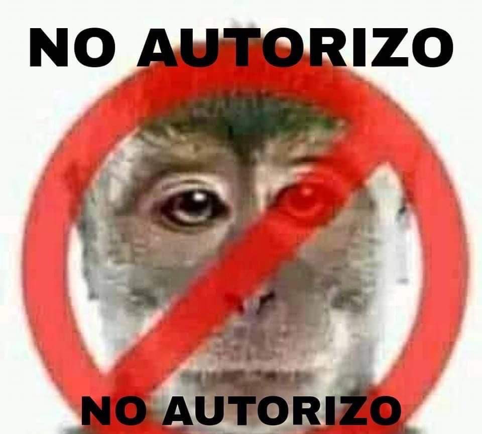 mechantbandit3's tweet photo. No autorizo que Kendall salga con bad bunny https://t.co/G3Ib2MCF9T