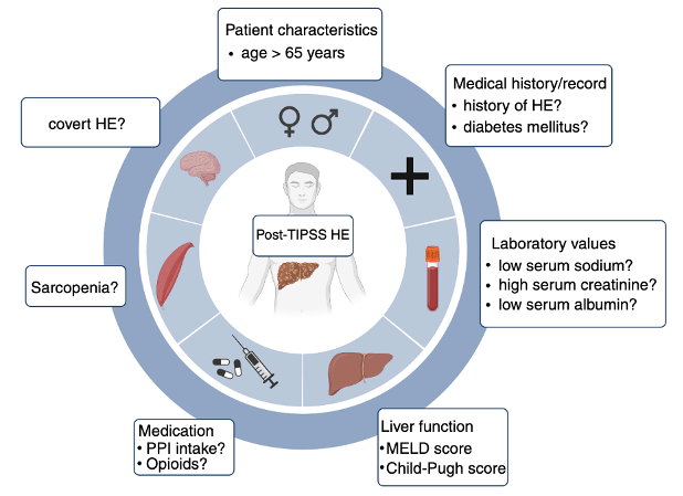 LiverFellow's tweet photo. Ever wondered why  hepatic encephalopathy develops after transjugular intrahepatic portosystemic (TIPS) shunt?

Check out the latest Why Series post by @juanjgonMD! 

https://t.co/Nwe8LoPBZn

#livertwitter #MedEd #FOAMed #GITwitter #MedTwitter #encephalopathy #TIPS https://t.co/XEZaOnHg6n
