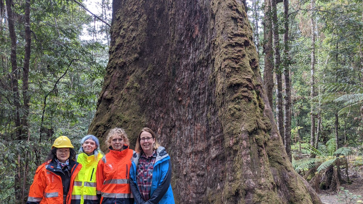 Please RT. We are recruiting a plant ecology PhD student to join our team <a href="/Sciences_UTAS/">Sciences and Engineering at University of Tasmania</a>. Fieldwork and modelling for policy/management solutions to improving conservation outcomes in production forest landscapes. Scholarship applications by 27 March:
utas.edu.au/research/degre…