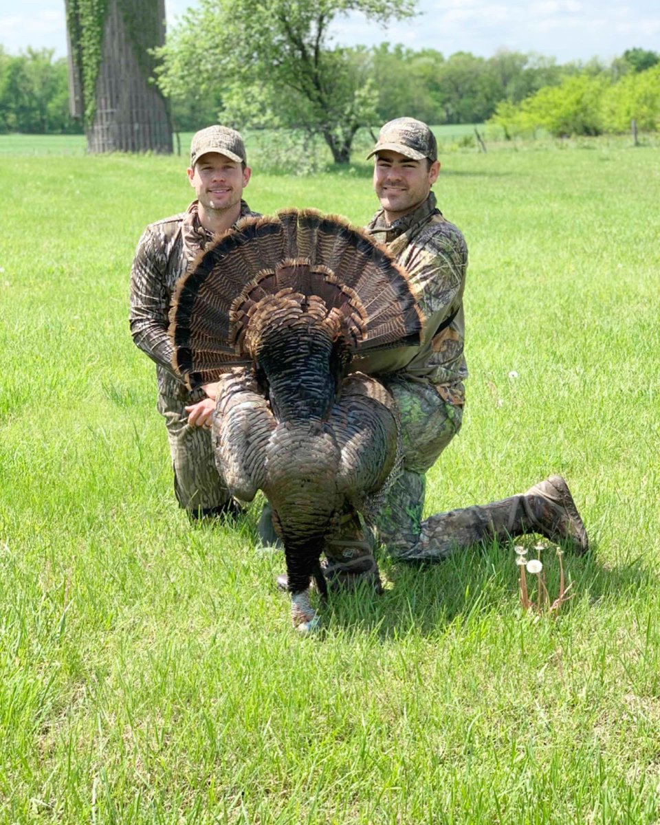 Trips4Trade tweet media